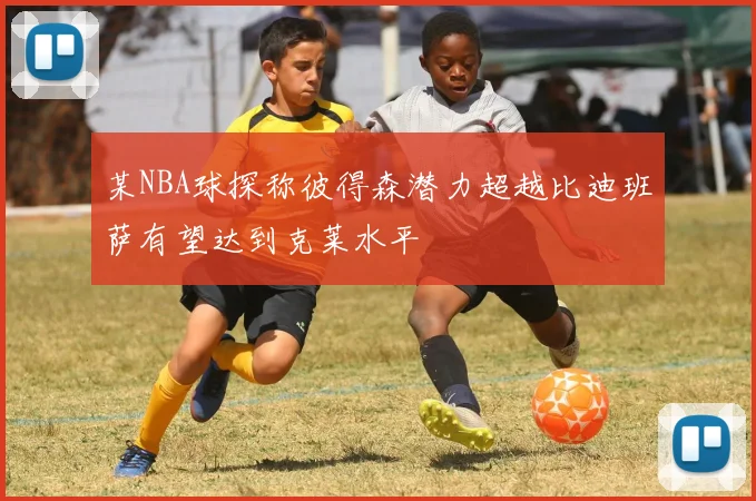 某NBA球探称彼得森潜力超越比迪班萨有望达到克莱水平