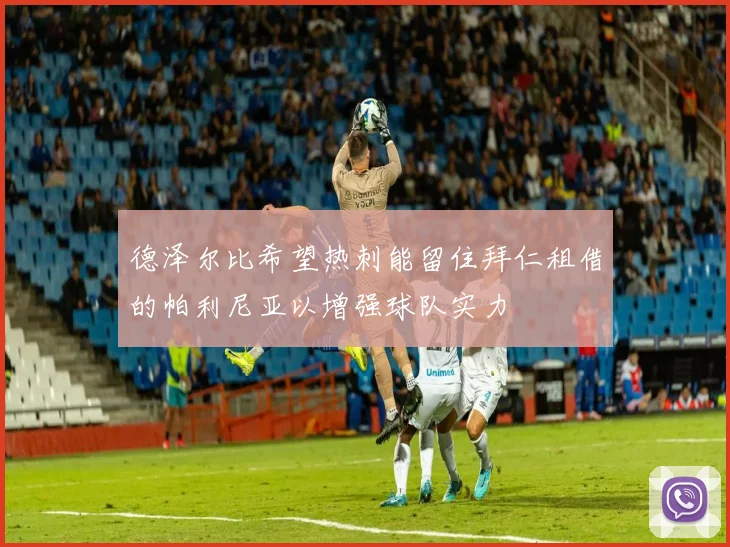 德泽尔比希望热刺能留住拜仁租借的帕利尼亚以增强球队实力