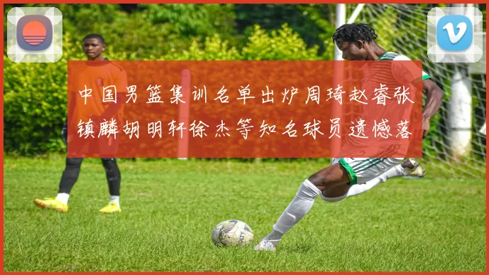 中国男篮集训名单出炉周琦赵睿张镇麟胡明轩徐杰等知名球员遗憾落选